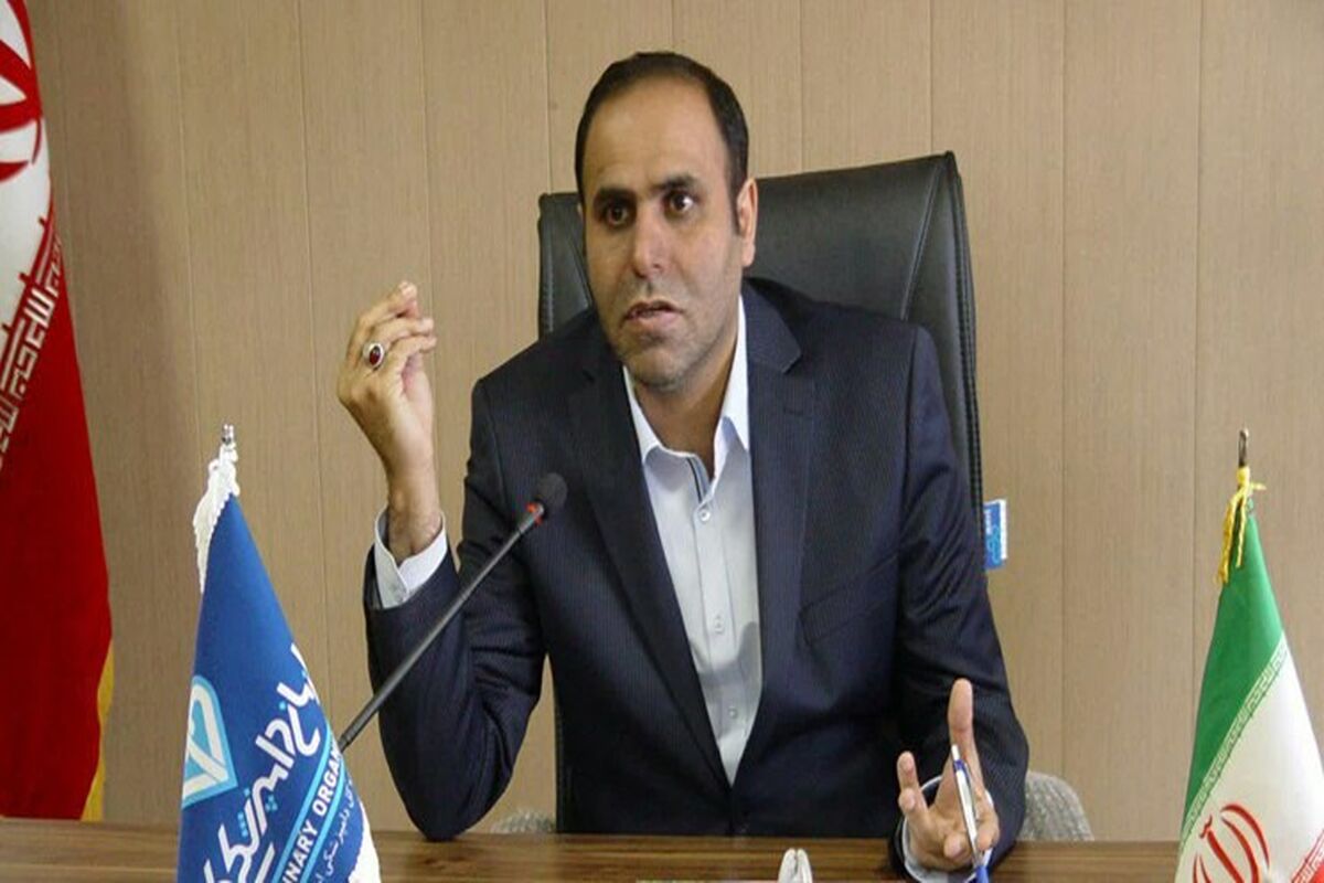 صادق صالحی