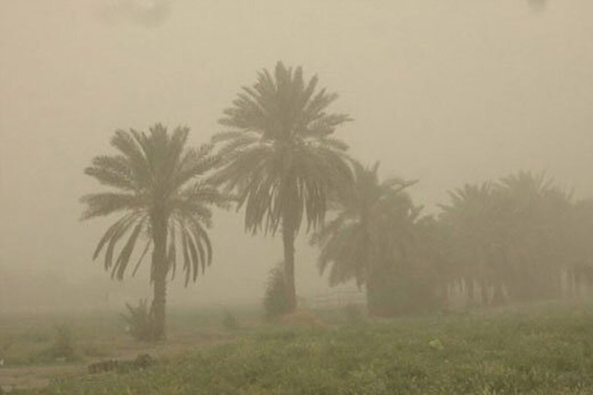 گردو غبار