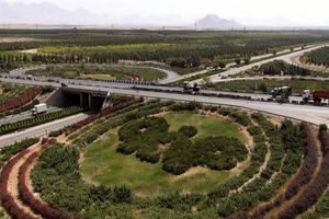 توجه به وضعیت روانی کارکنان و ایجاد بسترهای حمایت سازمانی