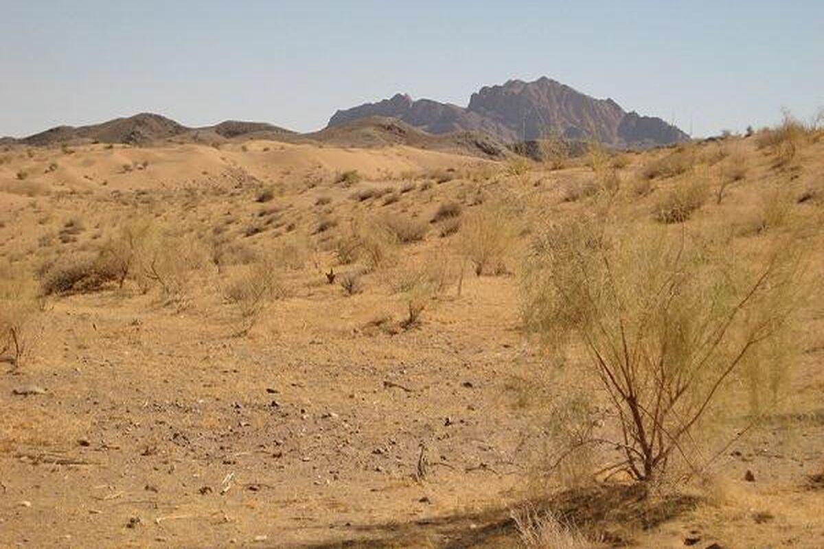 اصفهان- بیابان زدایی