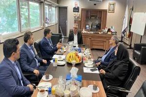 پشتیبان صنایع تولیدی و صادرکنندگان