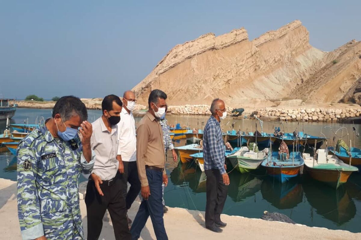شیلات