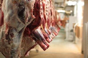 کشتار بیش از 174 هزار راس دام سبک و سنگین در کرمانشاه 