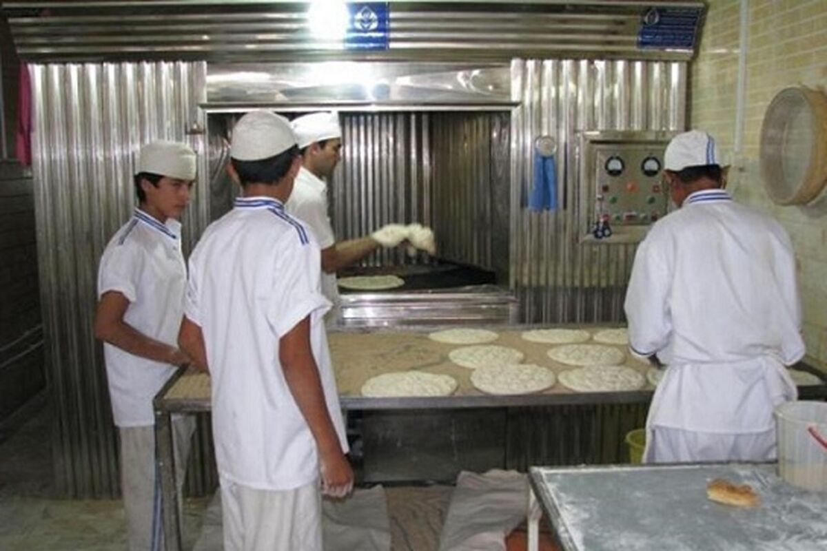 خبازی