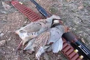 سه نفر متخلف شکار و صید در شهرستان سمیرم دستگیر شدند