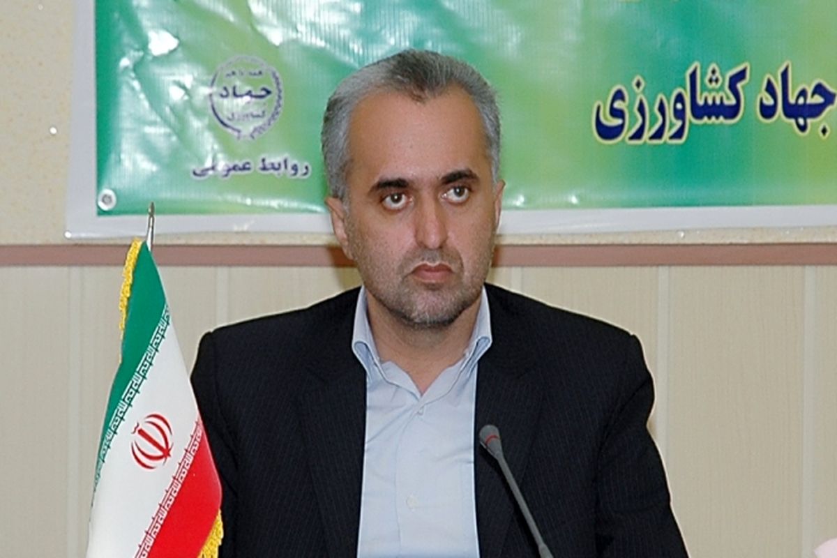 علیرضا-شعبان-نژاد