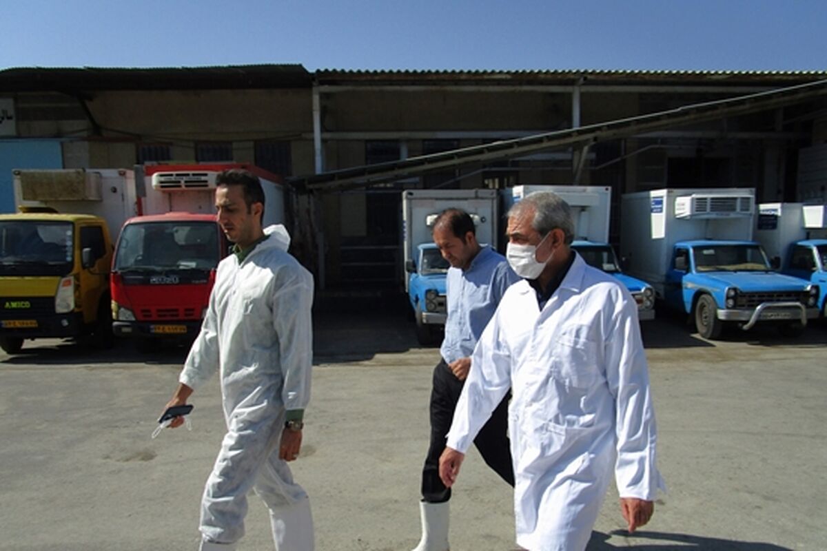 دامپزشکی مرکزی
