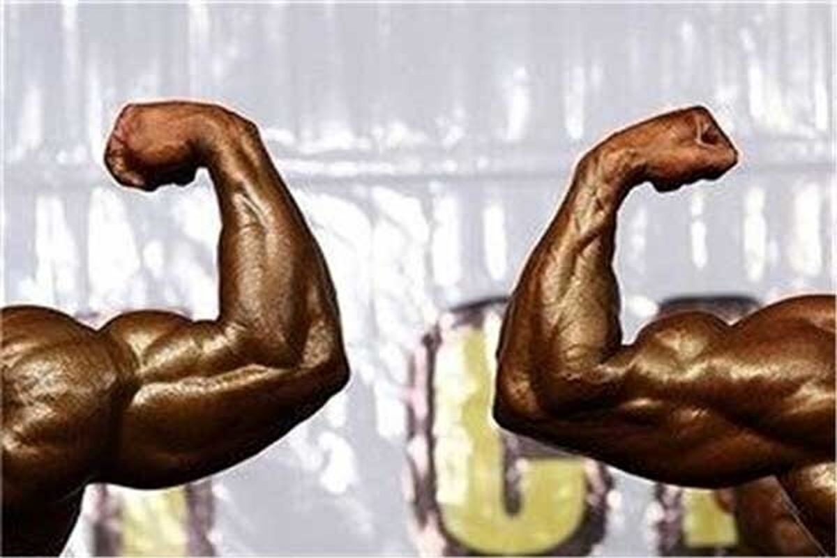 فستیوال بدن سازی