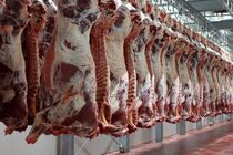 قیمت گوشت امروز چند؟+ جدول