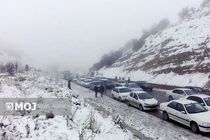 چالوس؛ آماده مقابله با بحران برف و سرما