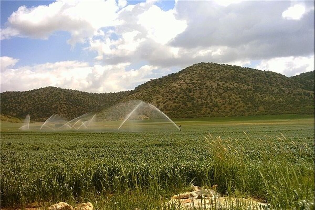 شبکه آبیاری تحت فشار