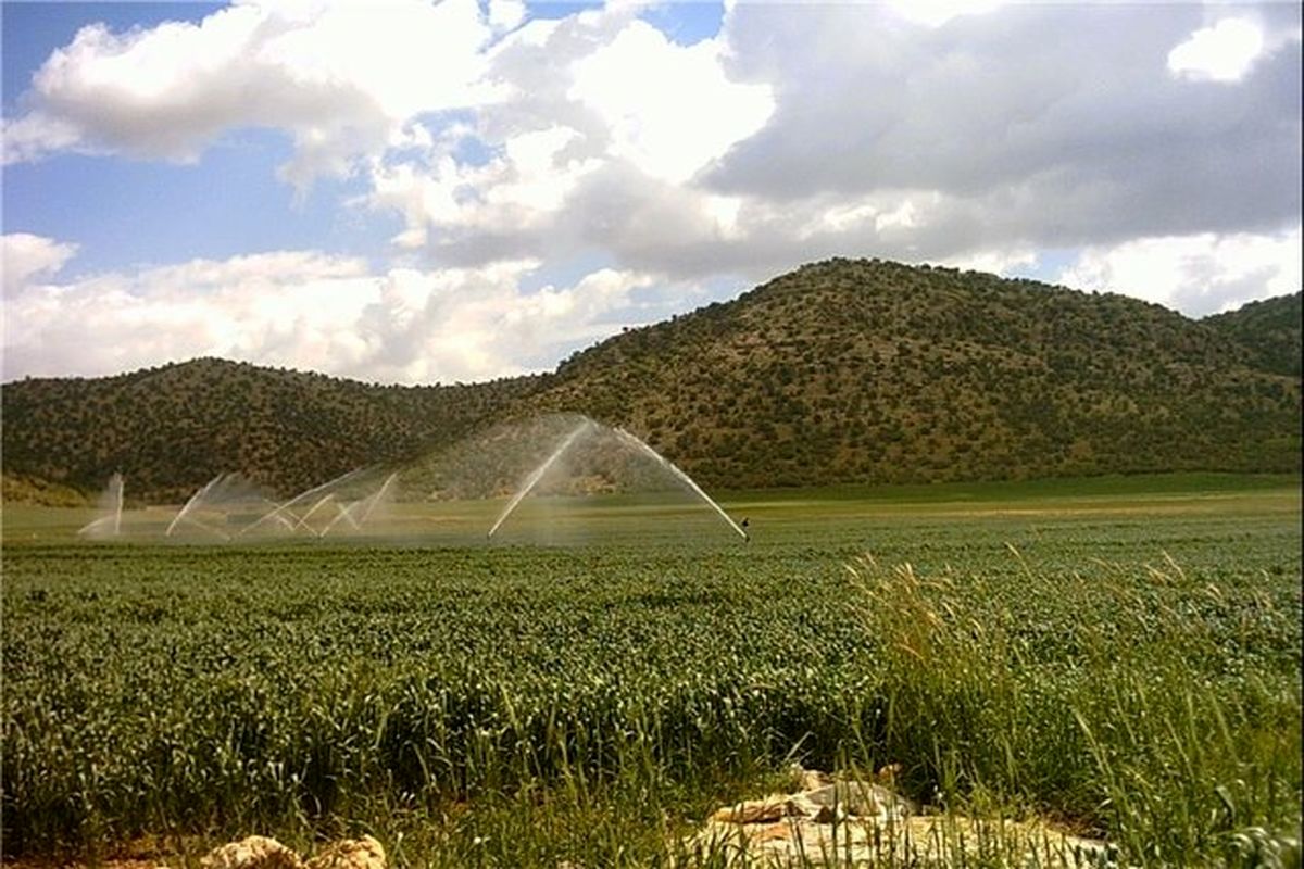 شبکه آبیاری تحت فشار
