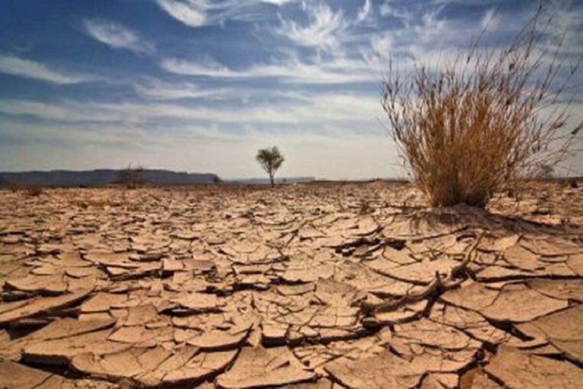 بیابان‌