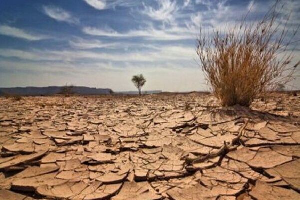 ۱۴ میلیون هکتار از اراضی کشور در معرض بیابان‌زایی هستند