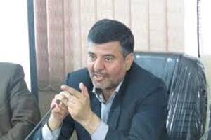 600 هزار تن گندم‌‌ تاکنون از کشاورزان گلستانی خریداری شد/ پرداخت ‌۸۰۸ میلیارد ریال وجه به کلزاکاران گلستانی