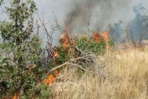 گسترش آتش سوزی منطقه «تنگه قیر» ایلام