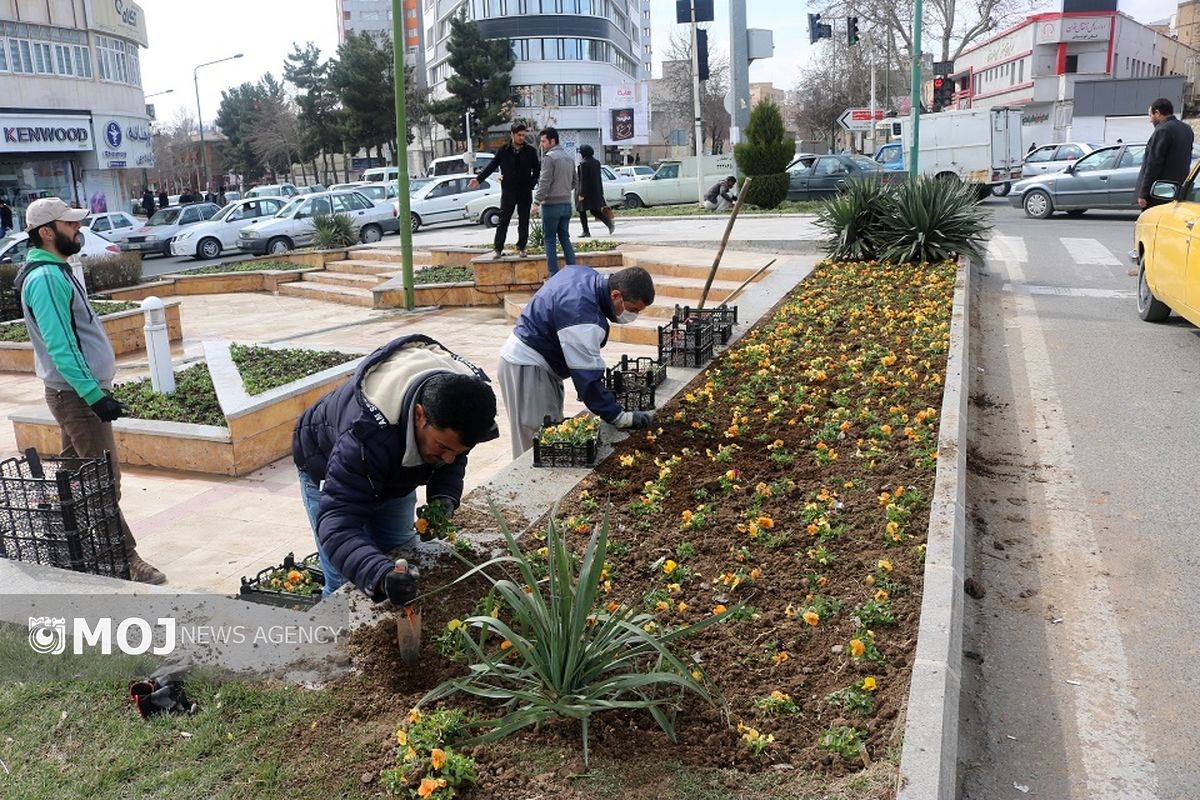 گلکاری میادین