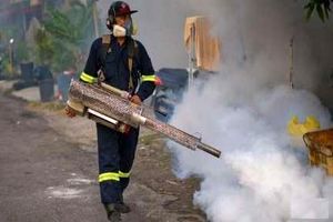 آماده باش شهرداری بندرعباس برای مقابله با پشه آئدس