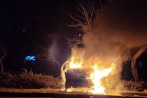 اغتشاشگران ۸۰۰ درخت در مشهد را سوزاندند