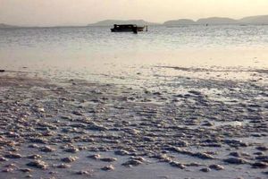 خشکی دریاچه ارومیه به موضوعی فراملی تبدیل شده است/ حضور کارشناسان فائو در آذربایجان غربی