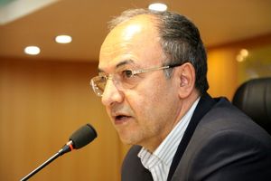 قاچاق در اقتصاد ایران نهادینه شده است