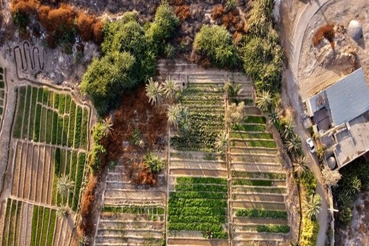 باغ تاریخی بندرعباس