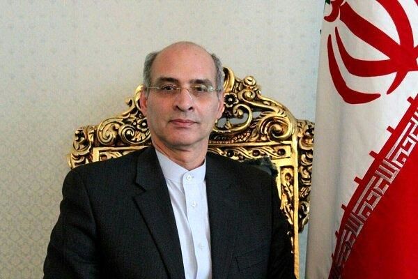 معاون شورای اجرایی سازمان منع سلاحهای شیمایی انتخاب شد