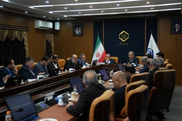 تاکید بر تقویت حمایت از فعالان گردشگری و صنایع‌دستی در نشست مشترک وزیر میراث‌فرهنگی و مدیرعامل سازمان تامین اجتماعی