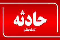 گازگرفتگی سبب مرگ تلخ یک خانواده ۴ نفره در زرقان شد