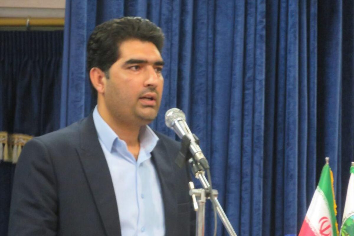حمزه احمدی