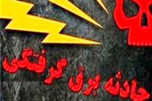 فوت ۹ نفر بر اثر برق گرفتگی در هفت ماهه سال جاری