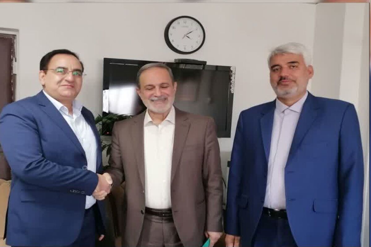 ویدار