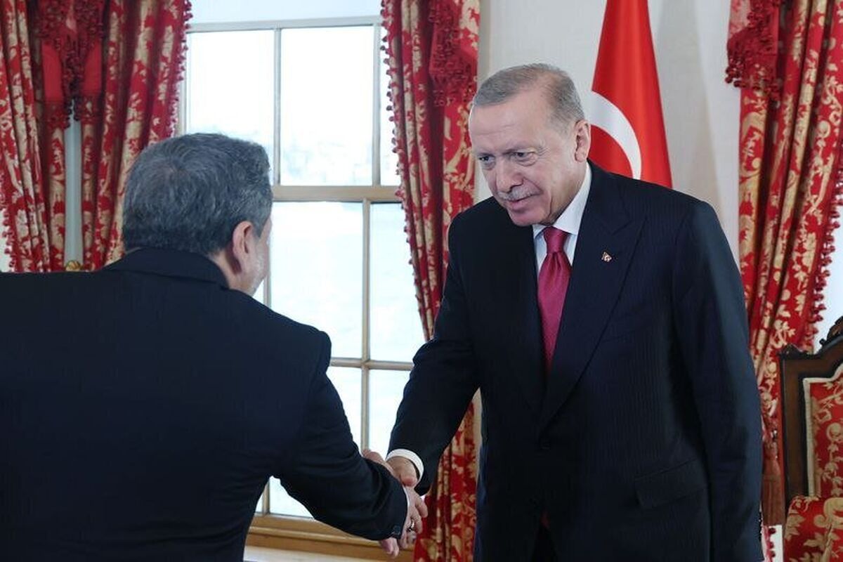 اردوغان در دیدار با  عباس عراقچی وزیر خارجه ایران