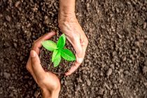 نوزدهمین نمایشگاه کشاورزی شیراز برپا می شود