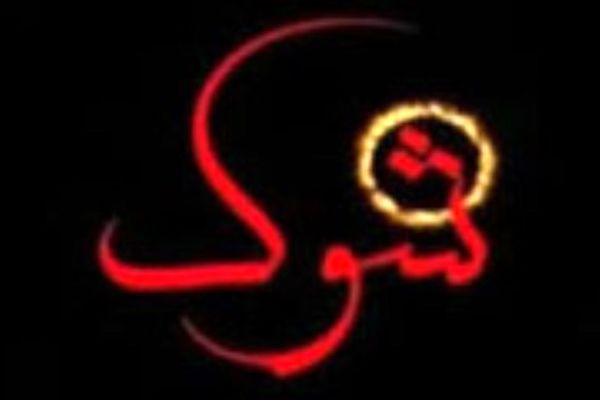 مستند «نظافت‌چی سارق» در قسمت ۳۱ از برنامه شوک پخش می‌شود