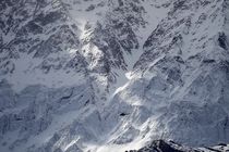 پیدا شدن جعبه سیاه هواپیما تهران یاسوج تائید شد