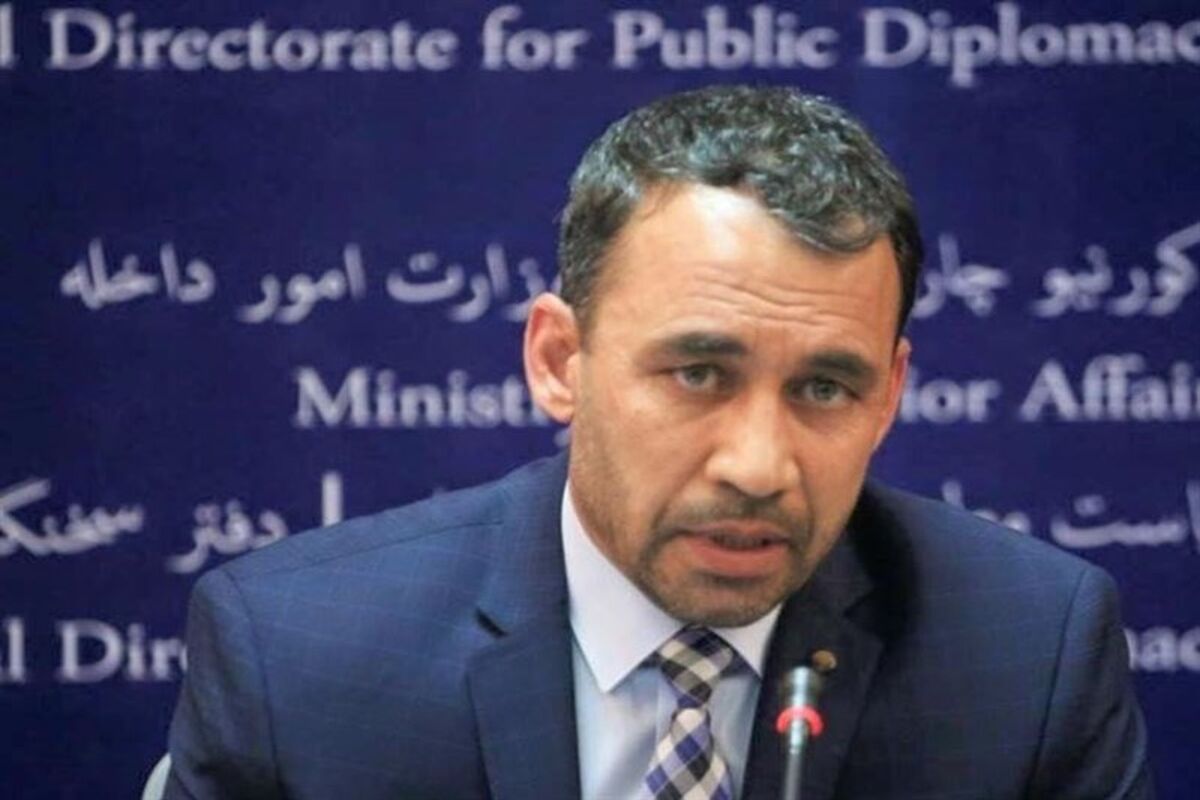 نجیب دانش