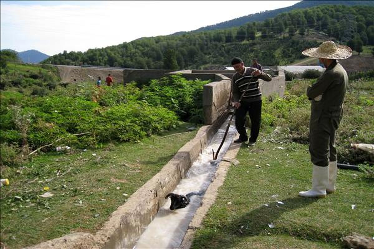 سم پاشی اماکن دامی