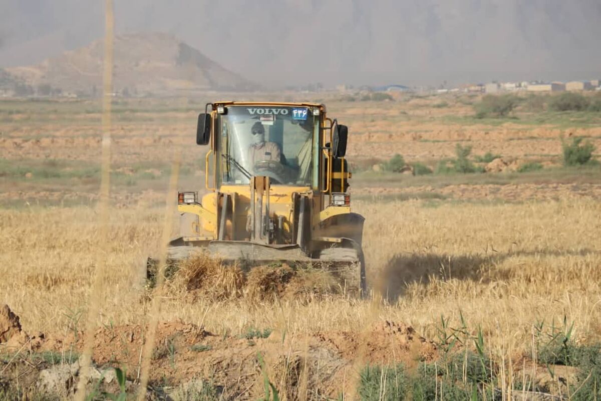 جهاد کشاورزی شیراز