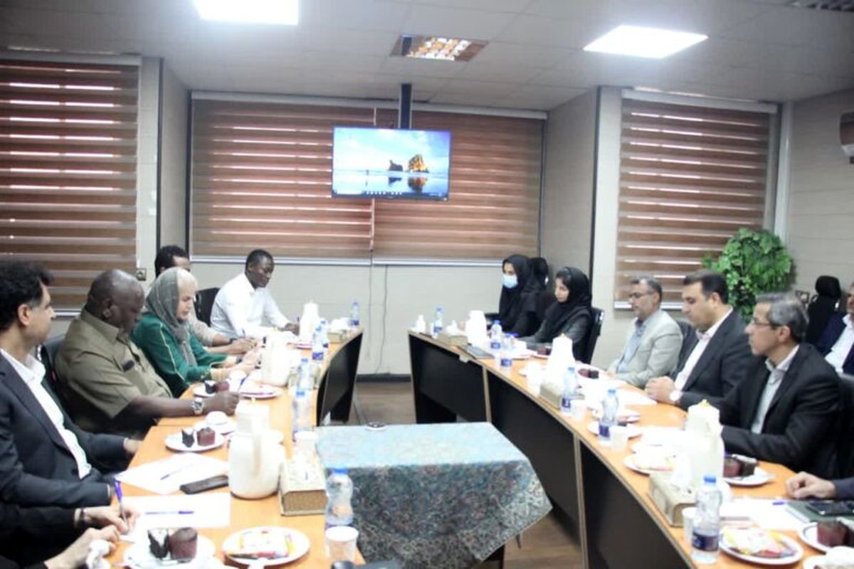 قاسمی سازمان صمت هرمزگان 