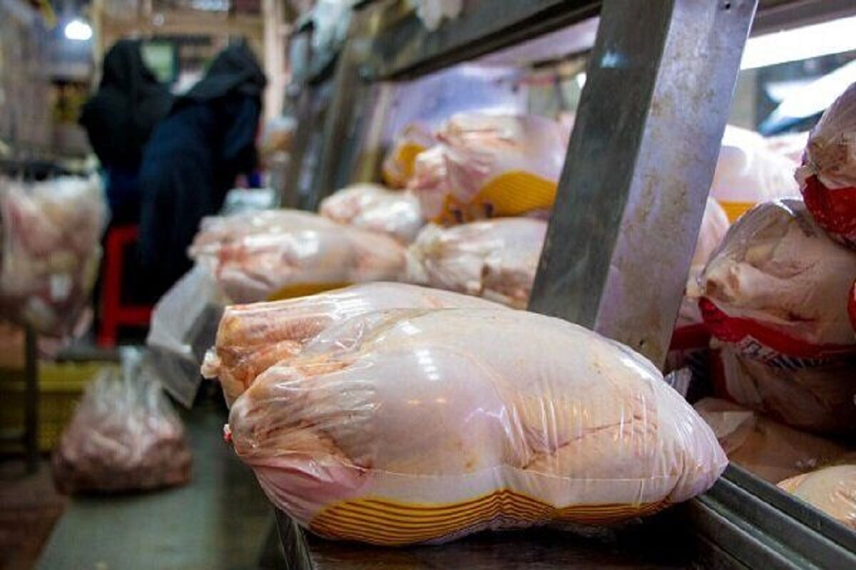 توزیع روزانه بیش از ۱۰۰ تُن مرغ در رشت