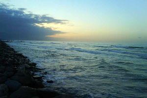 اعتباراتی برای کشت شورورزی با آب دریا تعیین شد