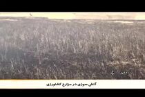 آتش به جان زمین های کشاورزی دره شهر افتاد