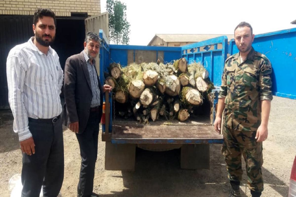 کشف چوب آلات جنگلی در اردبیل