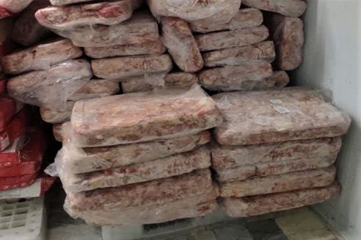 اسکلت مرغ فاسد