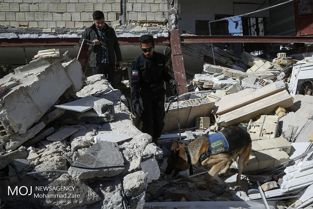 سگ‌های جستجوگر و زنده یاب در مناطق زلزله‌زده کرمانشاه