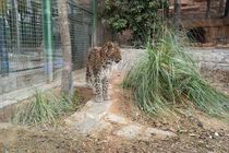 حال "ارس" رو به بهبودی است