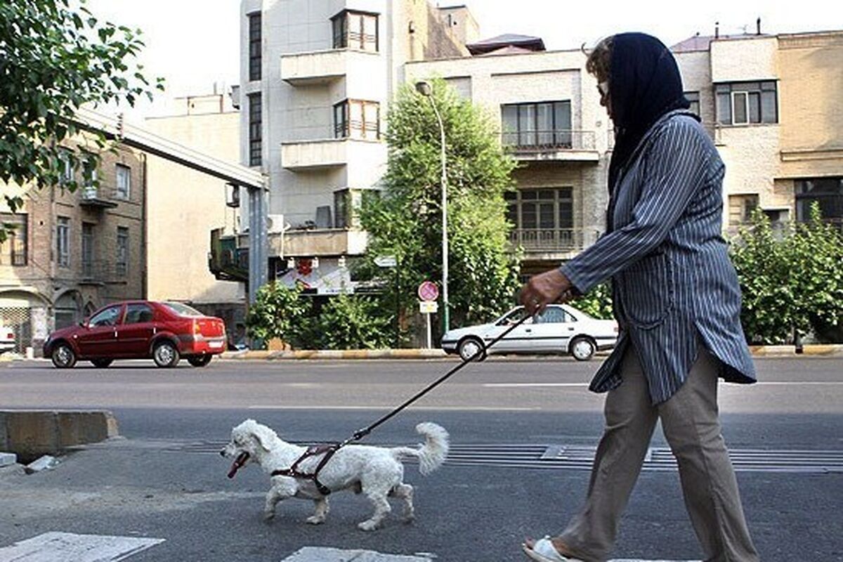 سگ گردانی