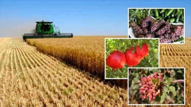 تسهیلات کمبهره به سرمایهگذاران بخش کشاورزی اردبیل ارائه میشود