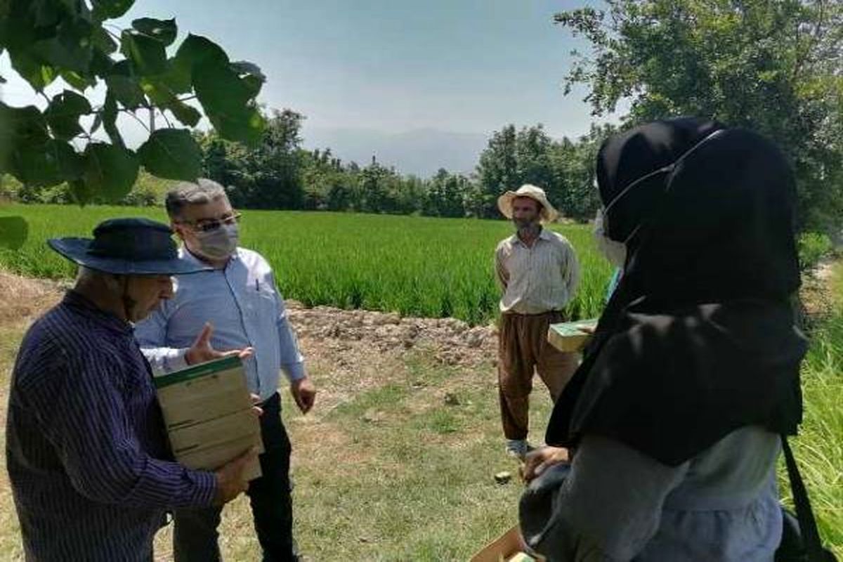 جهاد کشاورزی بهشهر